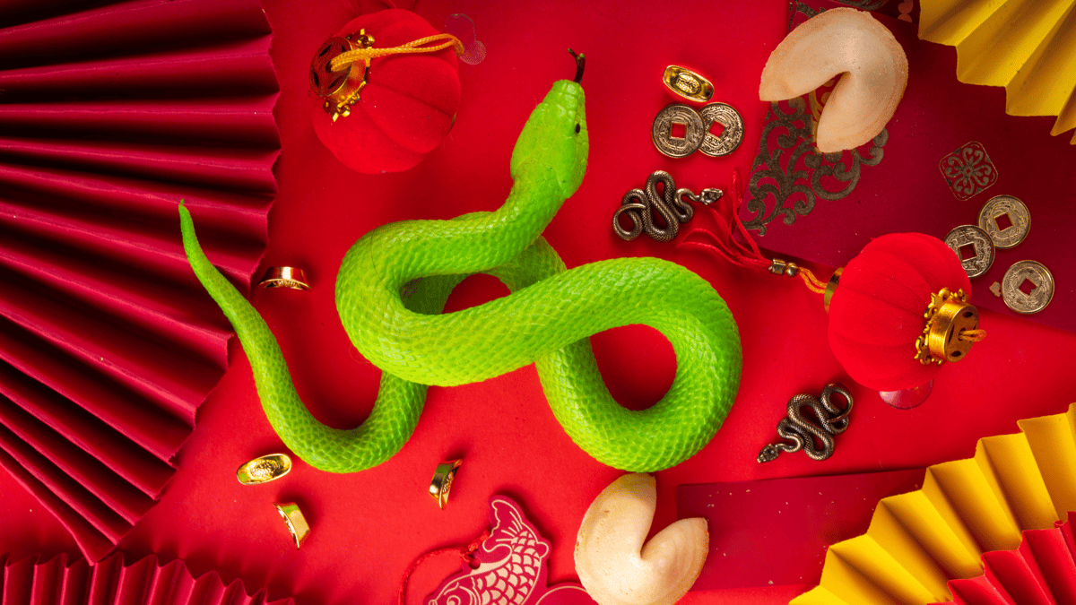 Year of the Snake Blog Pic 2